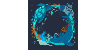 ocean_animals4x