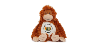 orange_orangutan