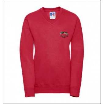 A1 Print & Stitch - Awliscombe Primary Kids V Neck Sweatshirt - Bright ...