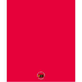 gd105_-_blanket_-_red
