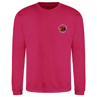 jh030_-_adult_sweatshirt_-_hot_pink