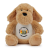 brown_dog
