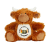 brown_highland_cow