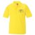 539b_-_yellow_-_lb_emb_-_st_martins_ce_primary_school_-_front_47475265