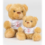 mm30_-_brown_-_centre_front_direct_to_film_-_upottery_football_club_-_front